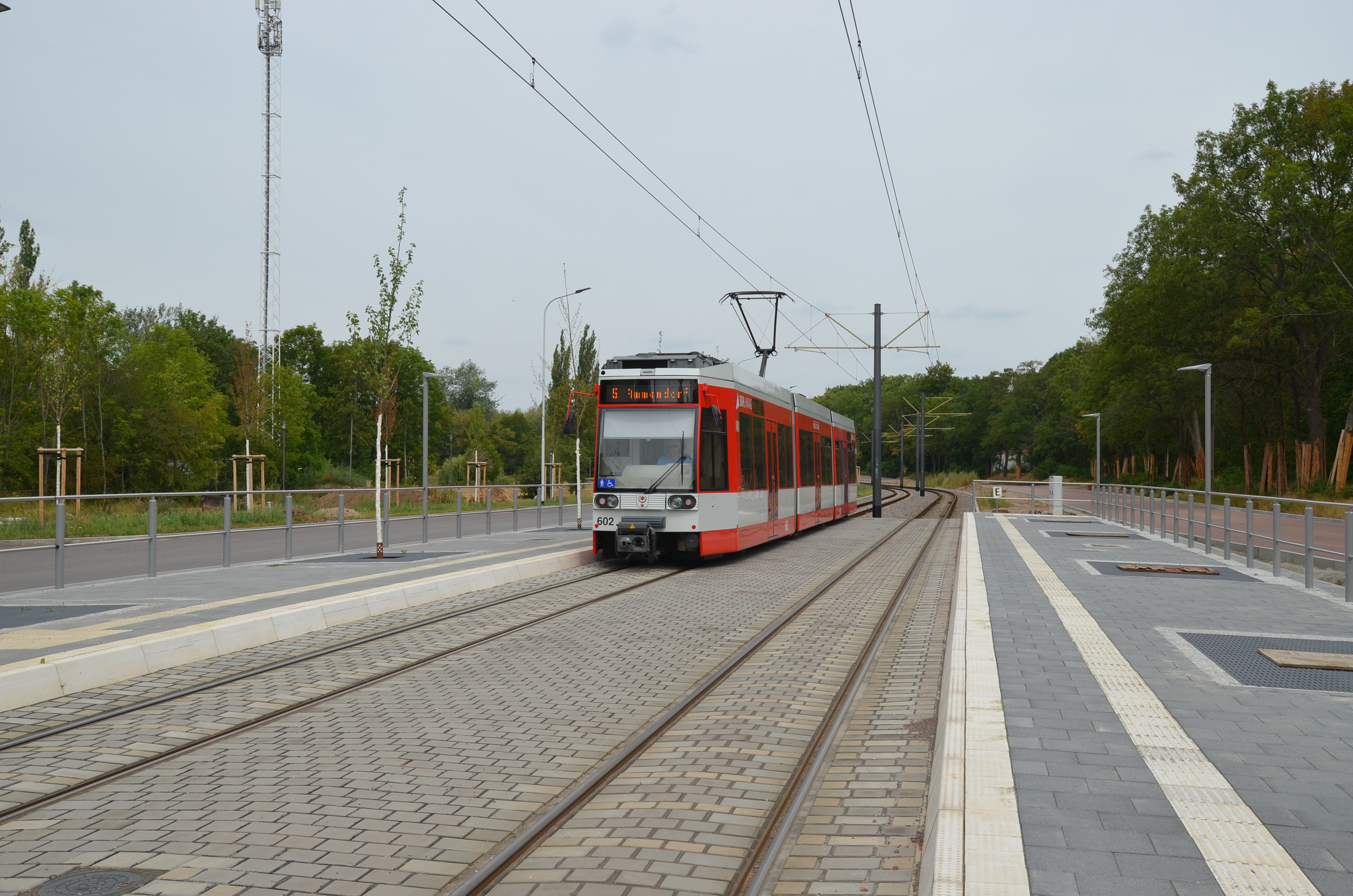 Das Bild zeigt eine vorbeifahrende rote Straßenbahn, aufgenommen wurde das Bild vom Bahnsteig aus.